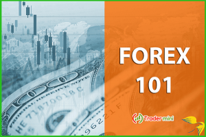 tải sách forex 101 tài liệu cho người mới tìm hiểu thị trường forex